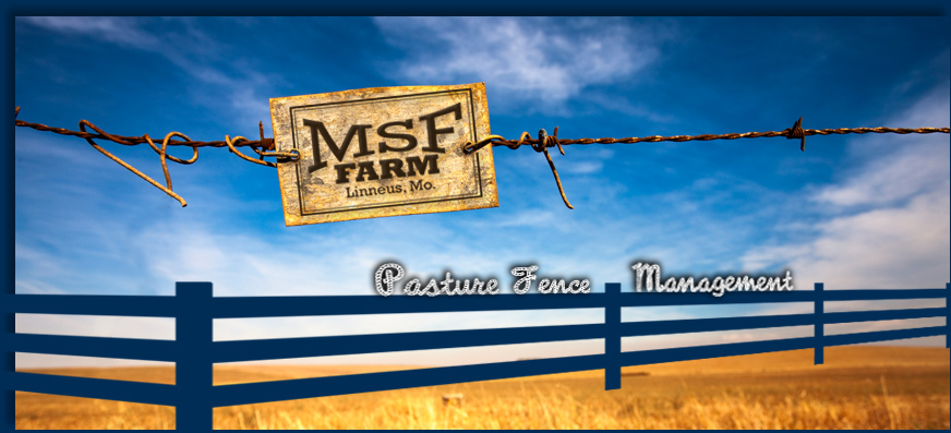 MSF Farm - Pasture Fence Management